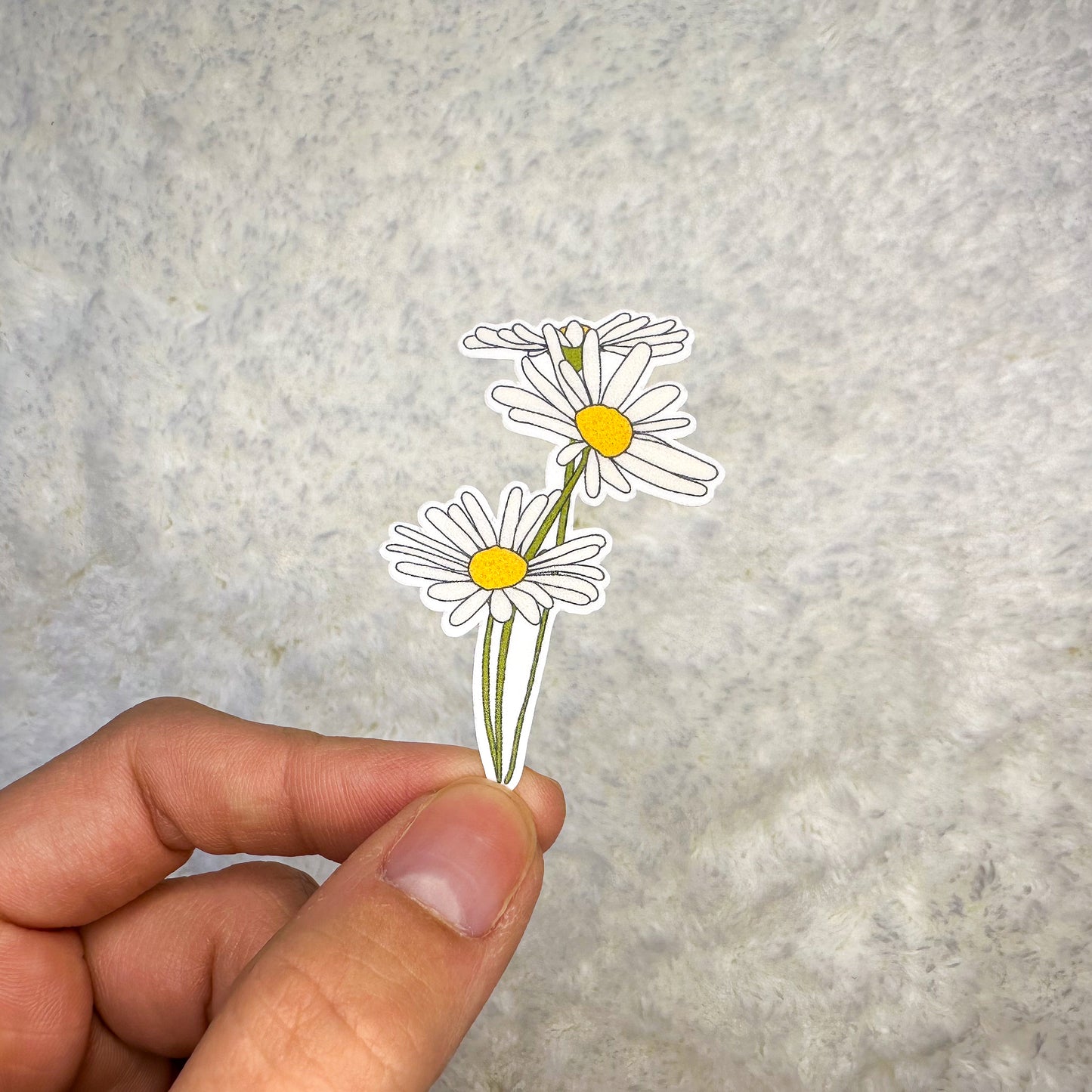 Debut Daisies Sticker