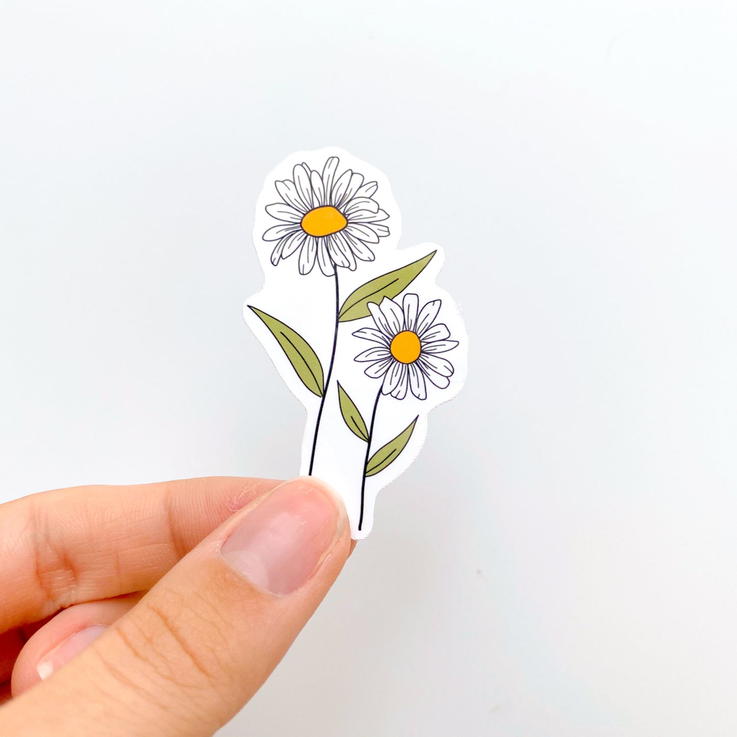April Daisy Birth Month Flower Sticker