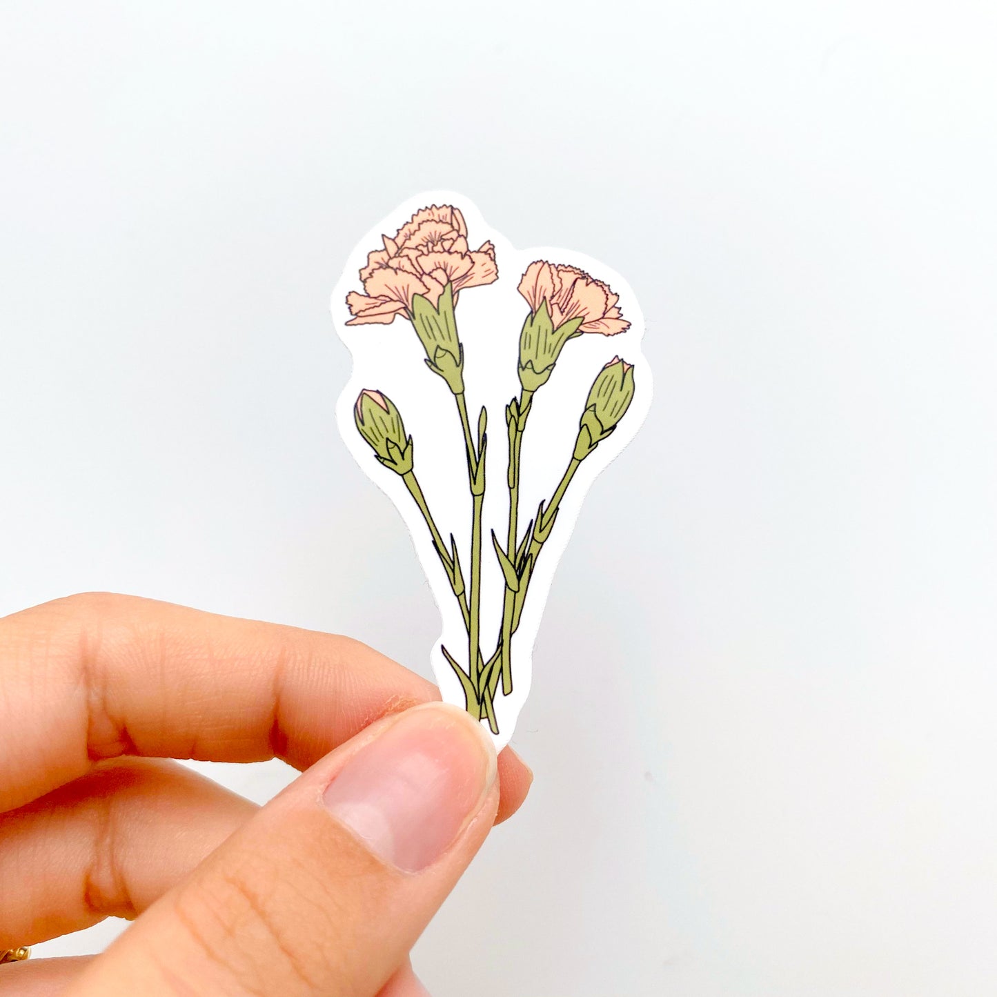 January Carnation Birth Month Flower Sticker