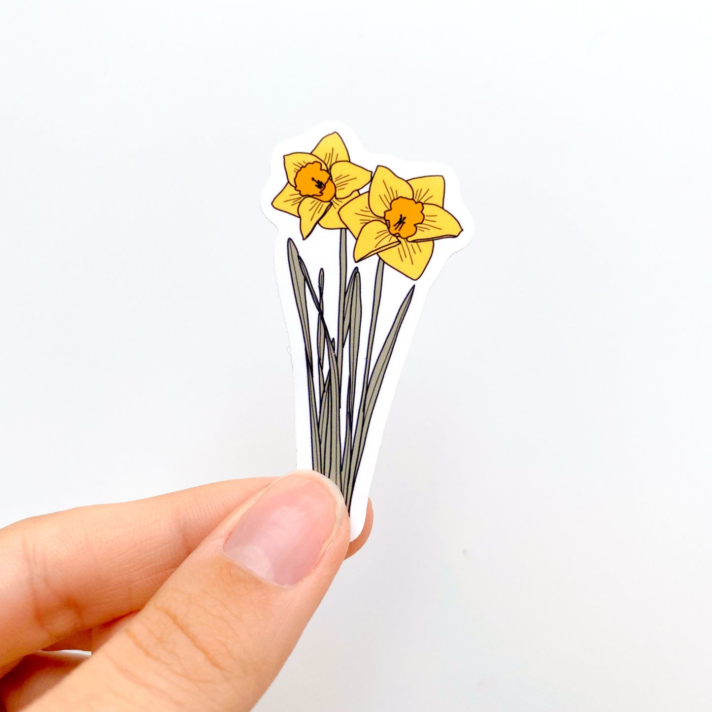 March Daffodil Birth Month Flower Sticker