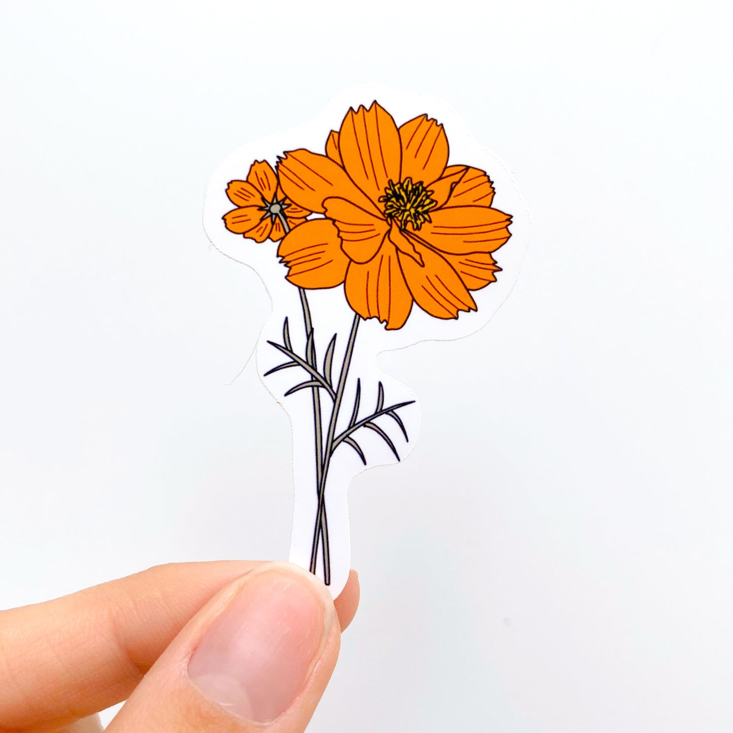 October Cosmos Birth Month Flower Sticker