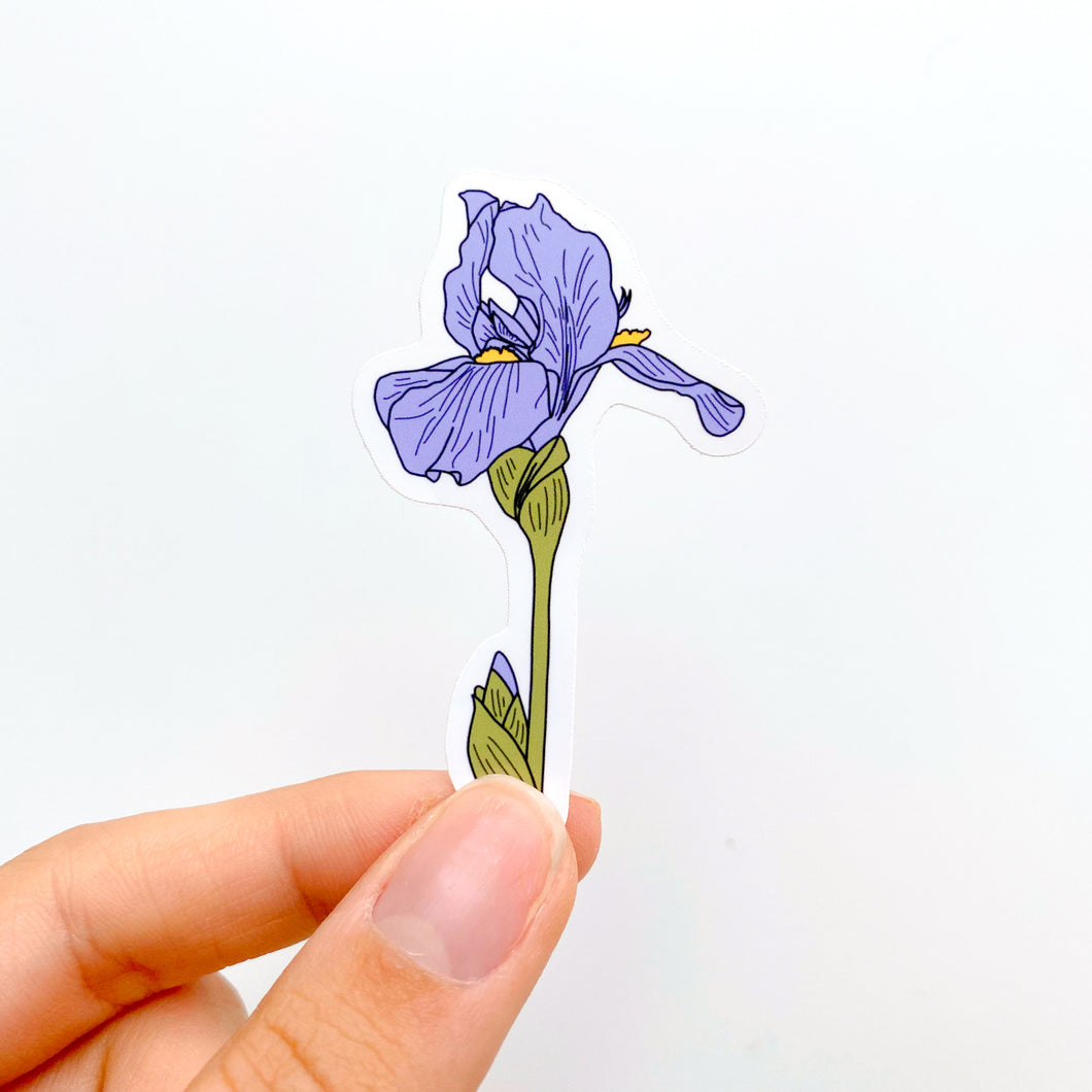 February Iris Birth Month Flower Sticker