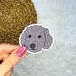 Goldendoodle Sticker