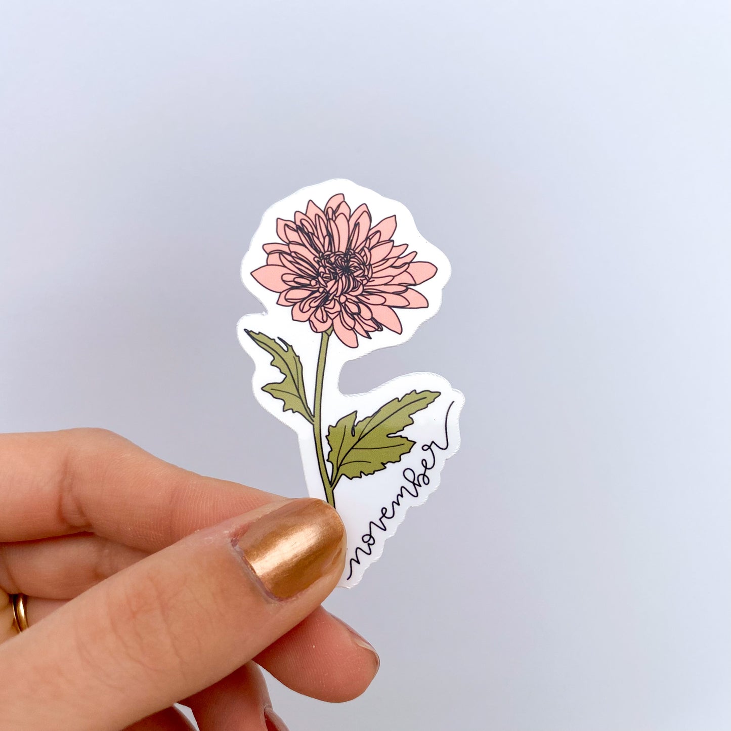 November Chrysanthemum Birth Month Flower Sticker - Month Lettering